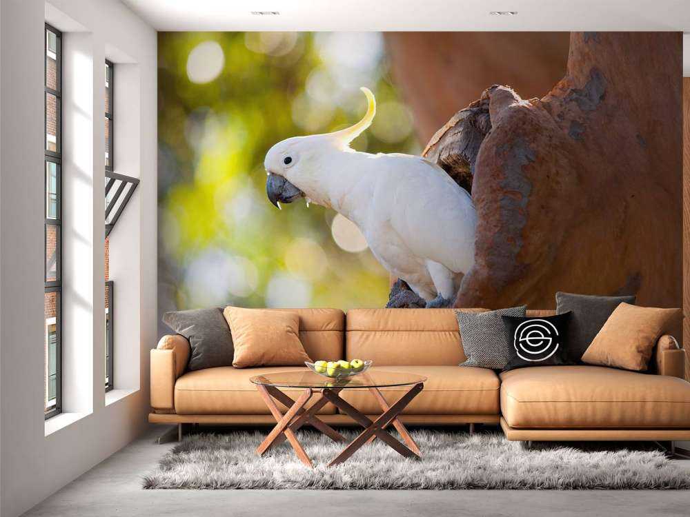 Cacatoès dans la cavité d'un arbre