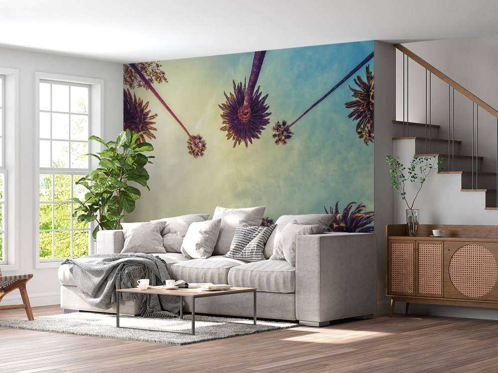 Vue de dessous des palmiers