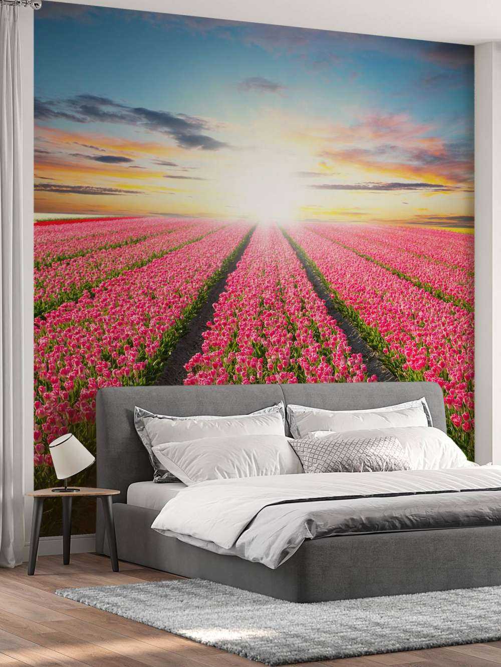 Tulipes avec le soleil levant