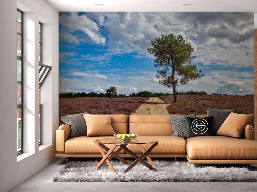 Un arbre dans la bruyère