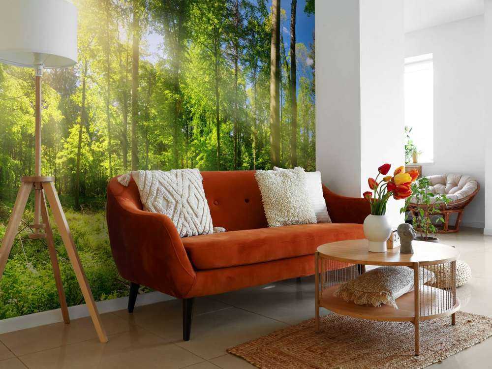 Une forêt avec des rayons de soleil