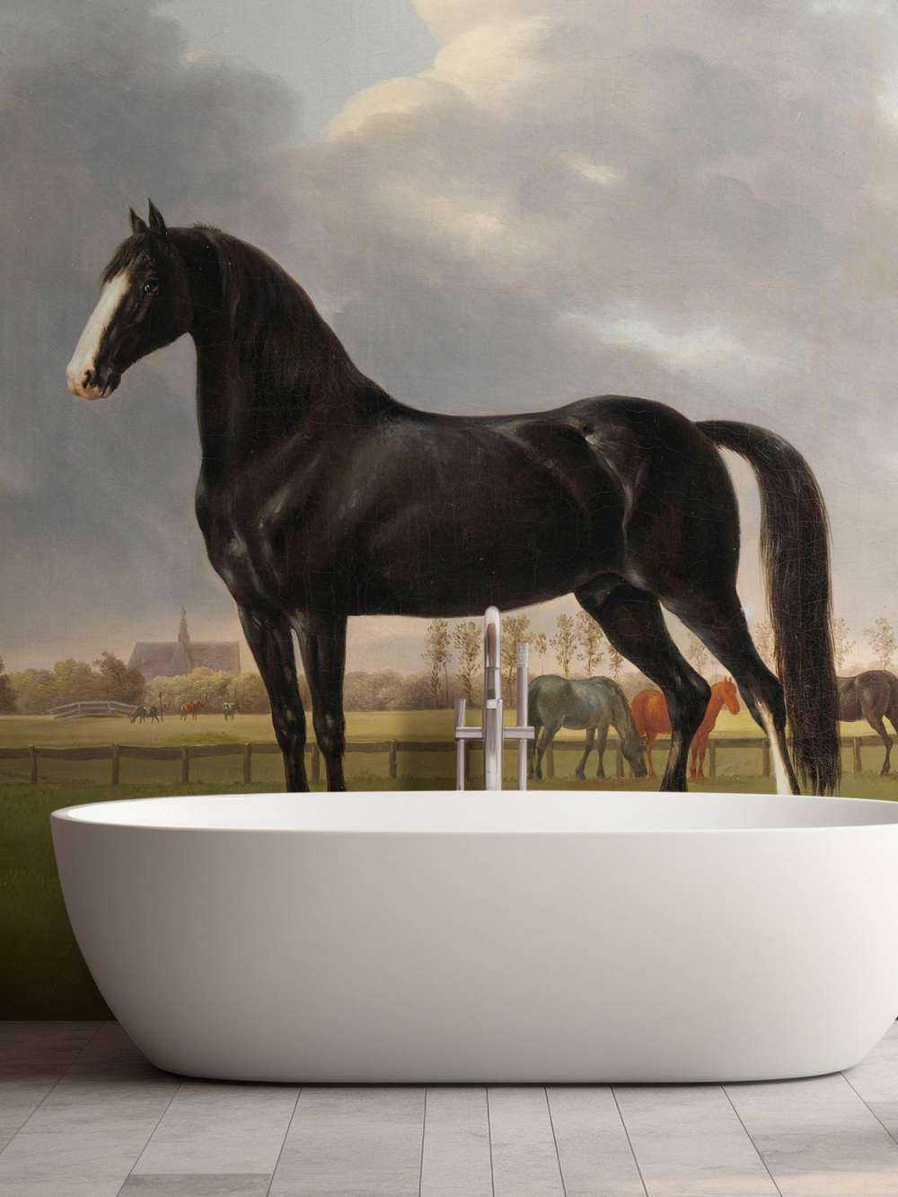 Photo fond d'écran cheval. Le bêcheur De Vlugge