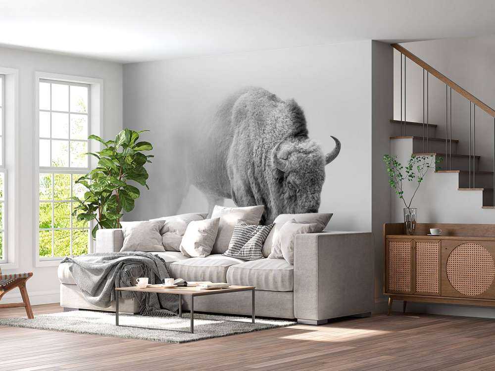 Bison noir et blanc
