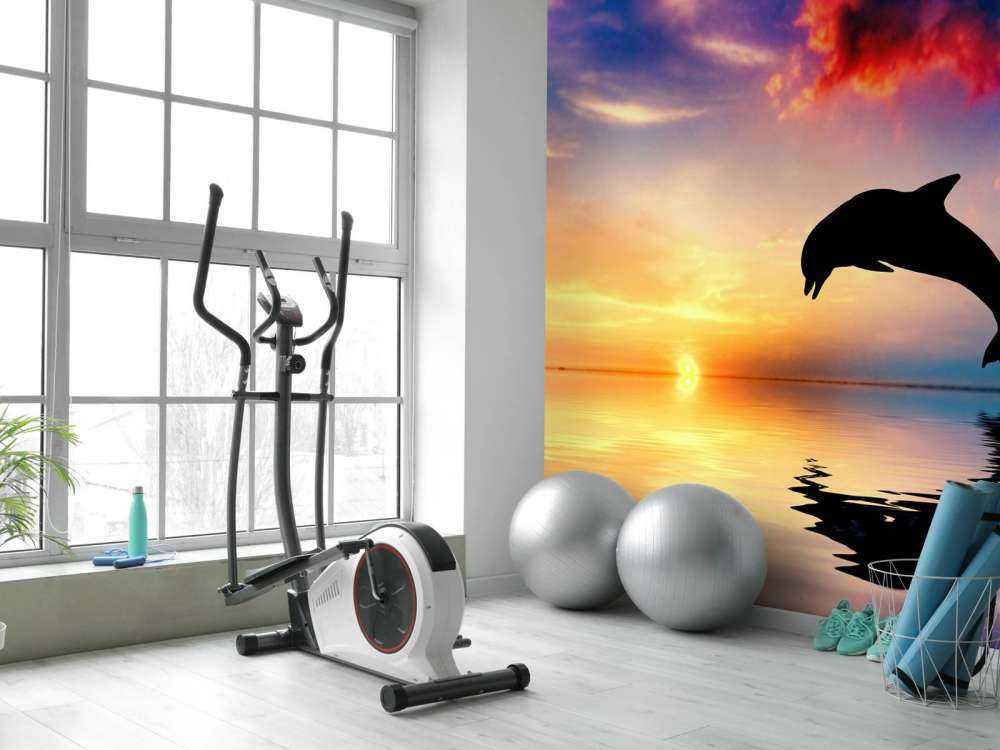 Silhouette de dauphin