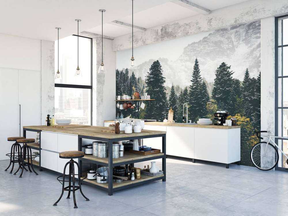 Forêt de conifères