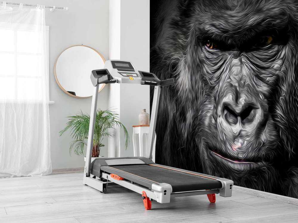 Illustration d'un gorille