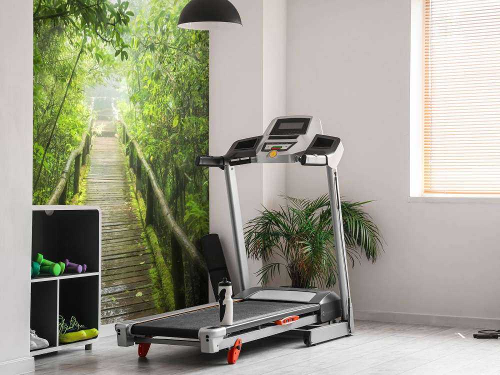 Jungle verte et brumeuse