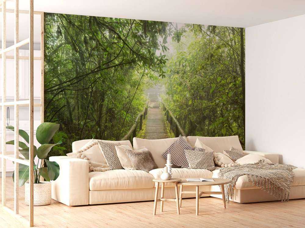 Jungle verte et brumeuse