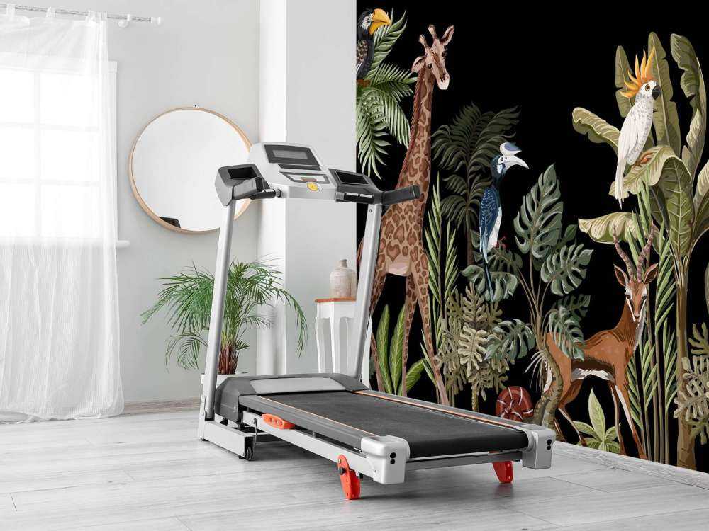 Divers animaux de la jungle