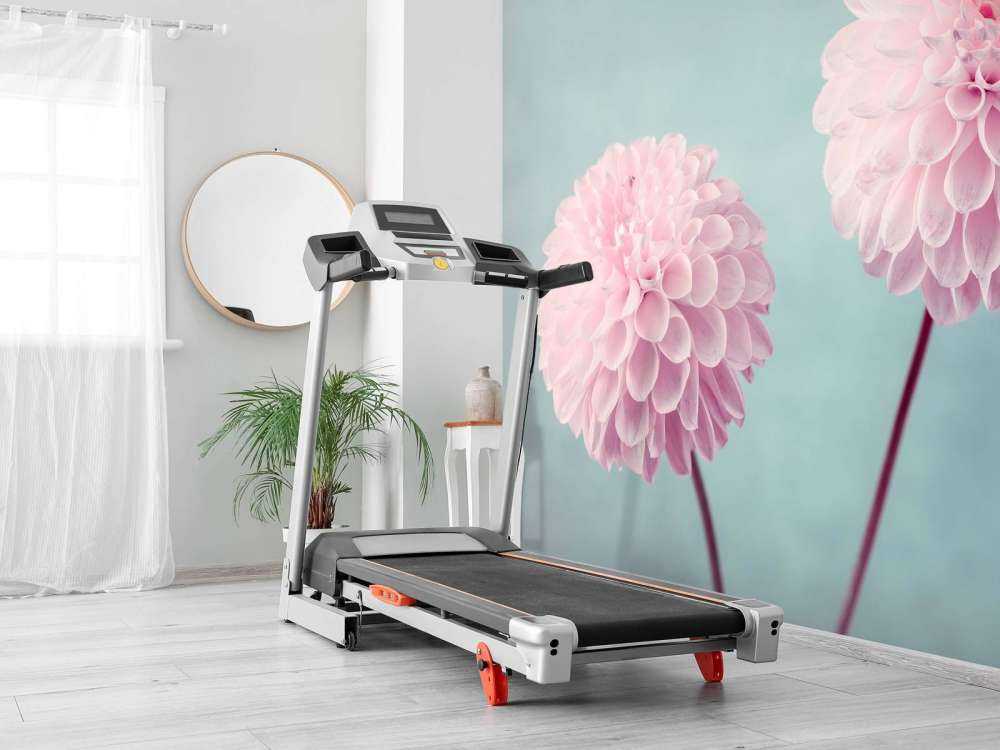 Deux fleurs de Dahlia