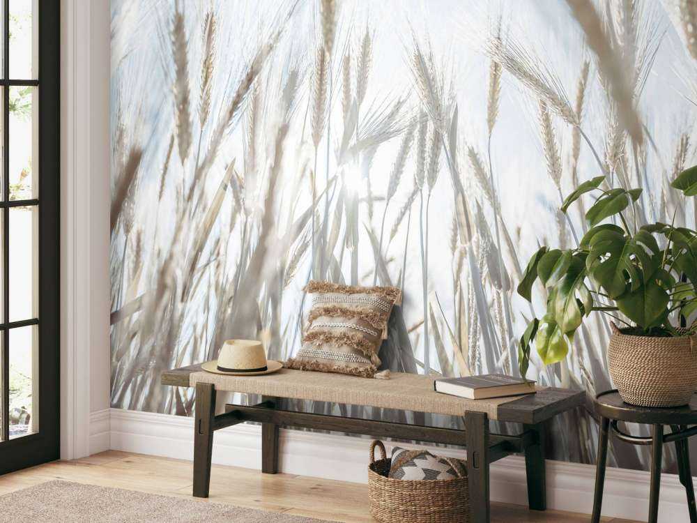 Des rayons de soleil à travers le blé