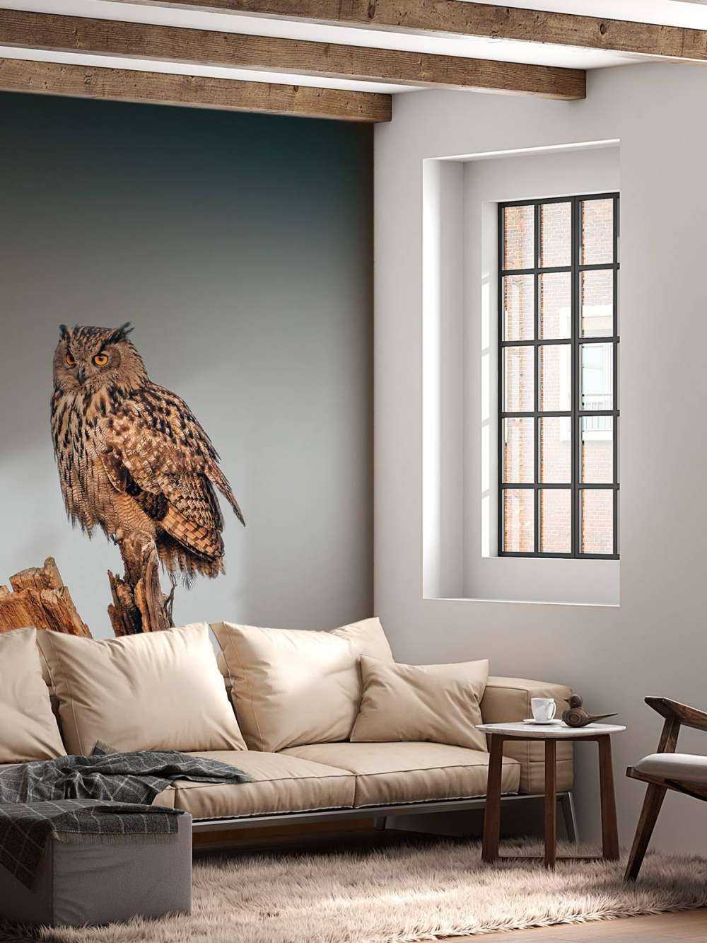 Hibou grand-duc