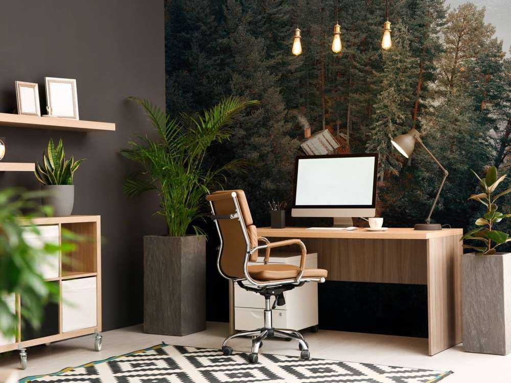 Cabane entourée de forêts et de lacs