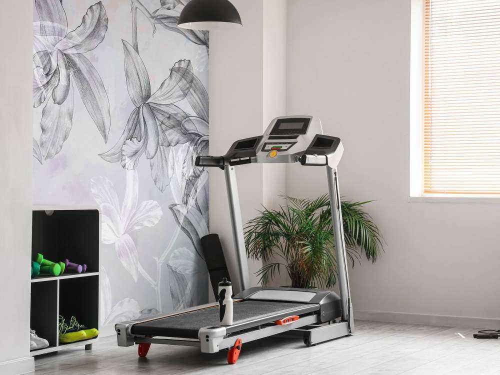 Rêverie d'orchidée bicolore violet