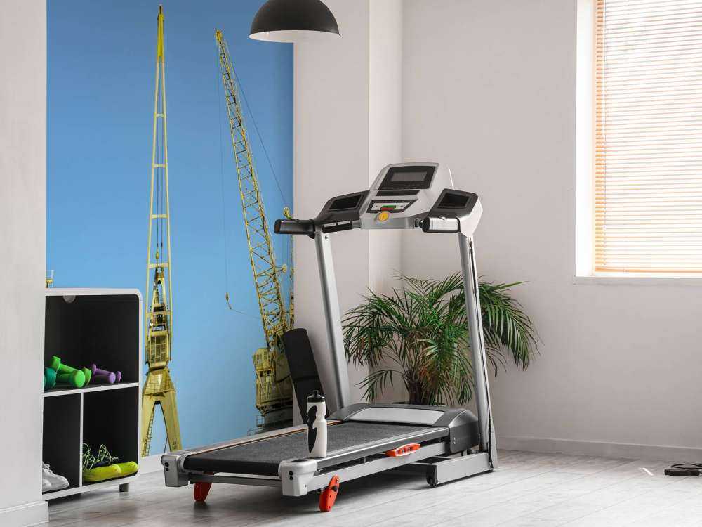 Grues dans le port d'Anvers