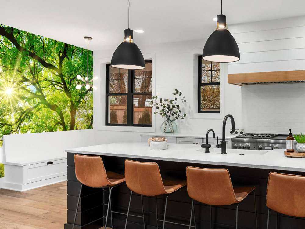 Arbre à rayons de soleil