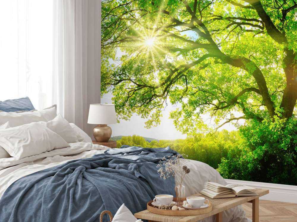 Arbre à rayons de soleil