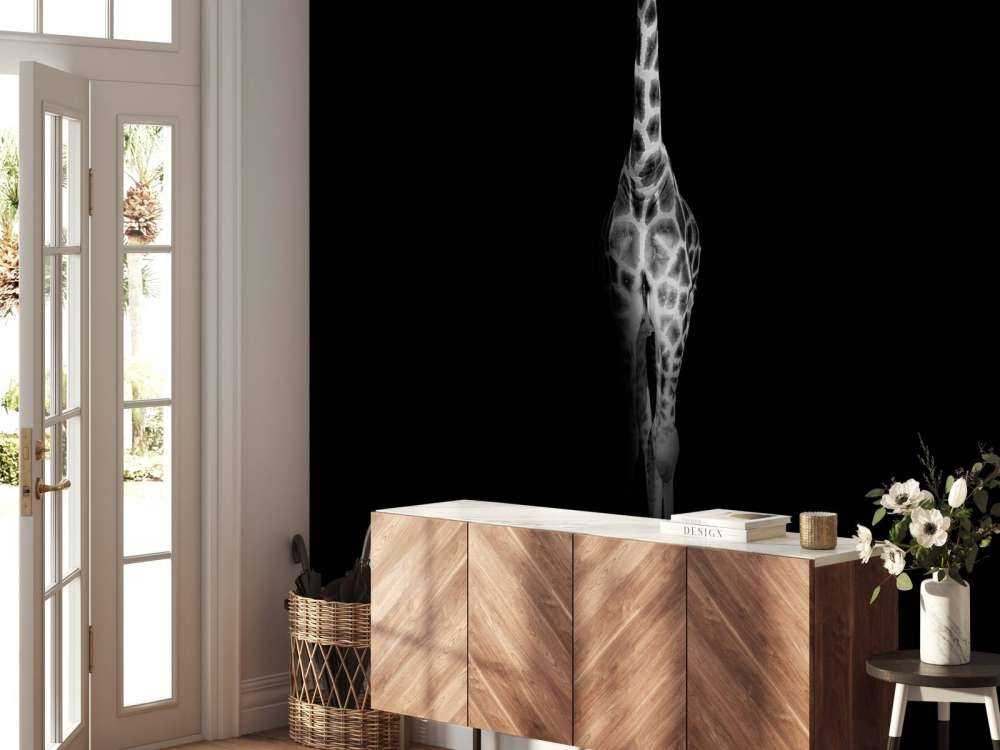 Girafe en noir et blanc