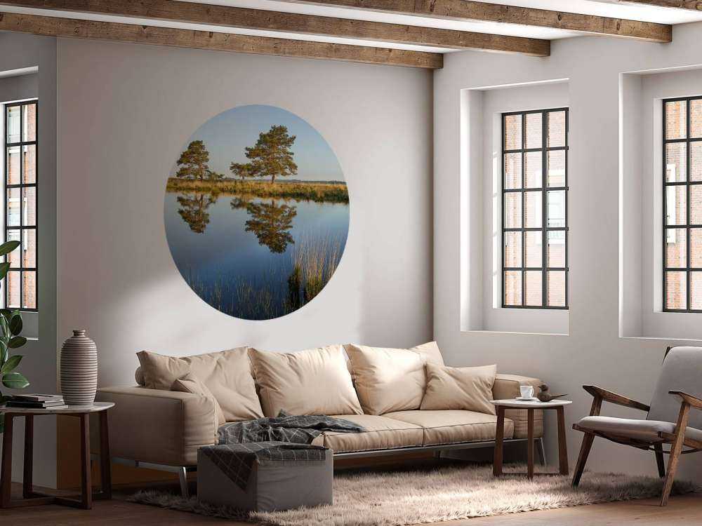 La forêt dans la lande