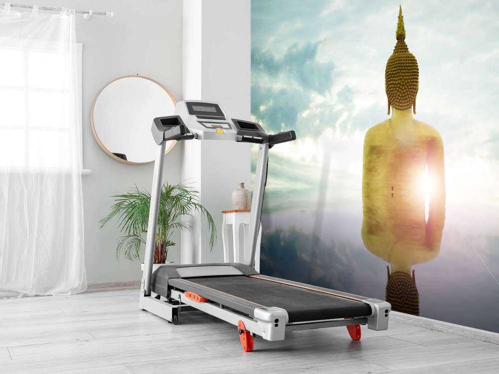 Grande statue de Bouddha