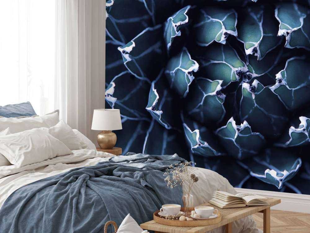 Succulent bleu foncé