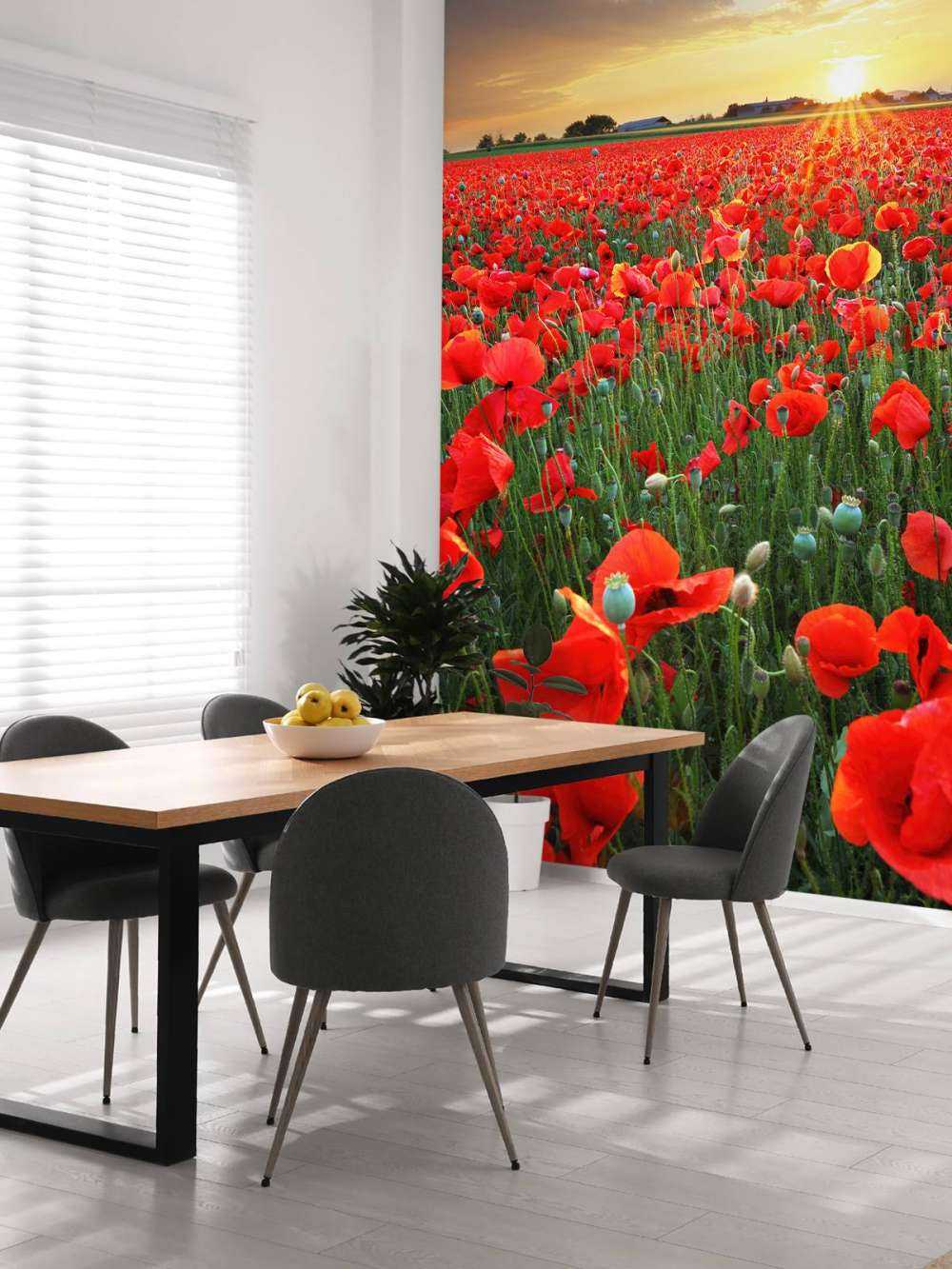 Les coquelicots au coucher du soleil