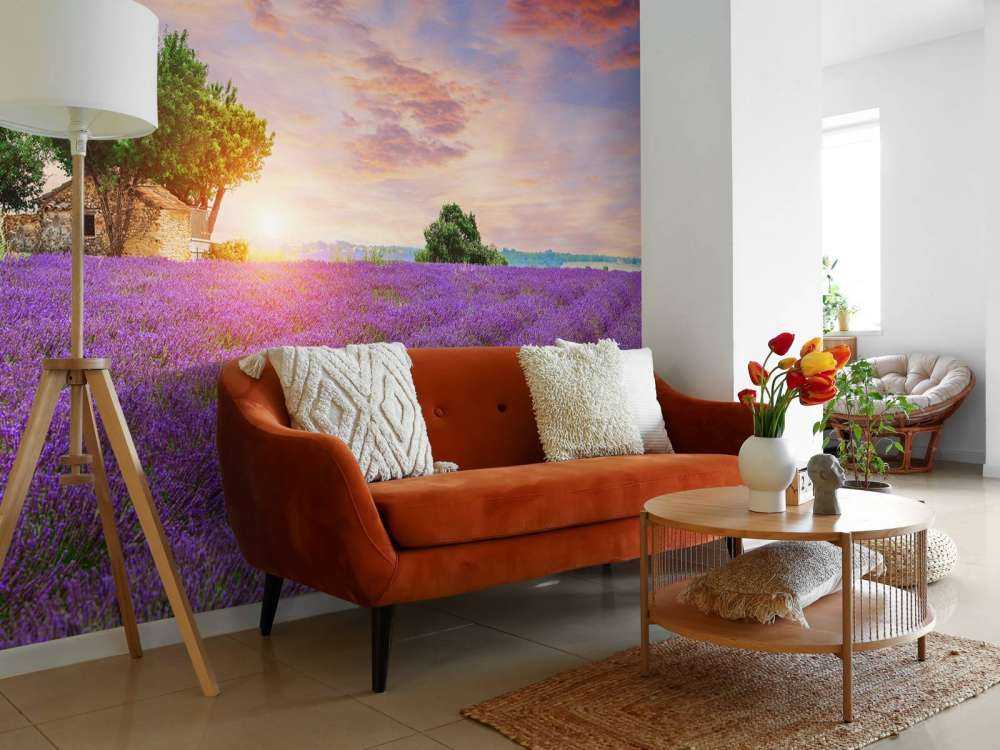 Champ de lavande au lever du soleil