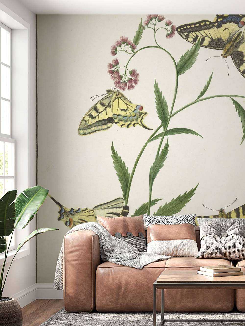 Quatre papillons sur des fleurs, Paulus Knogh