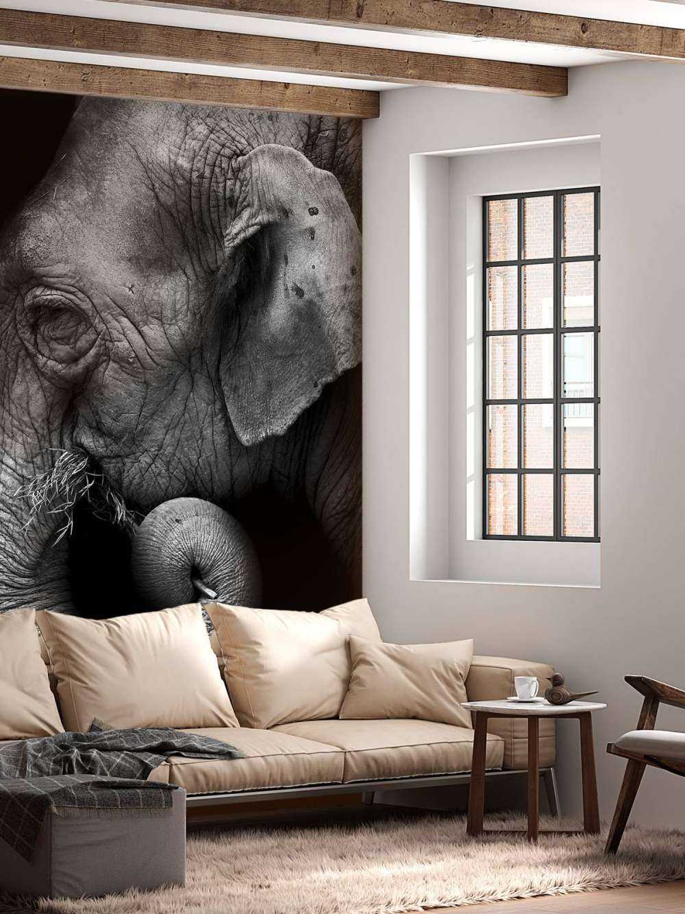 Portrait d'éléphant