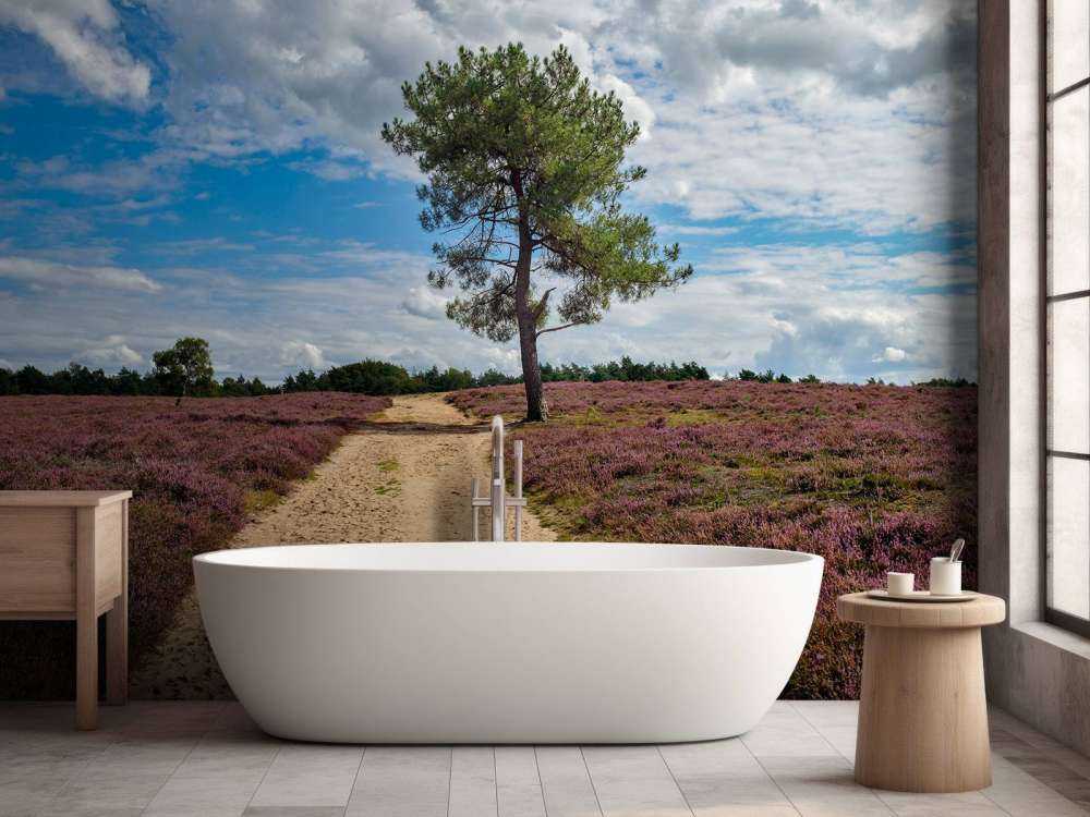 Un arbre dans la bruyère