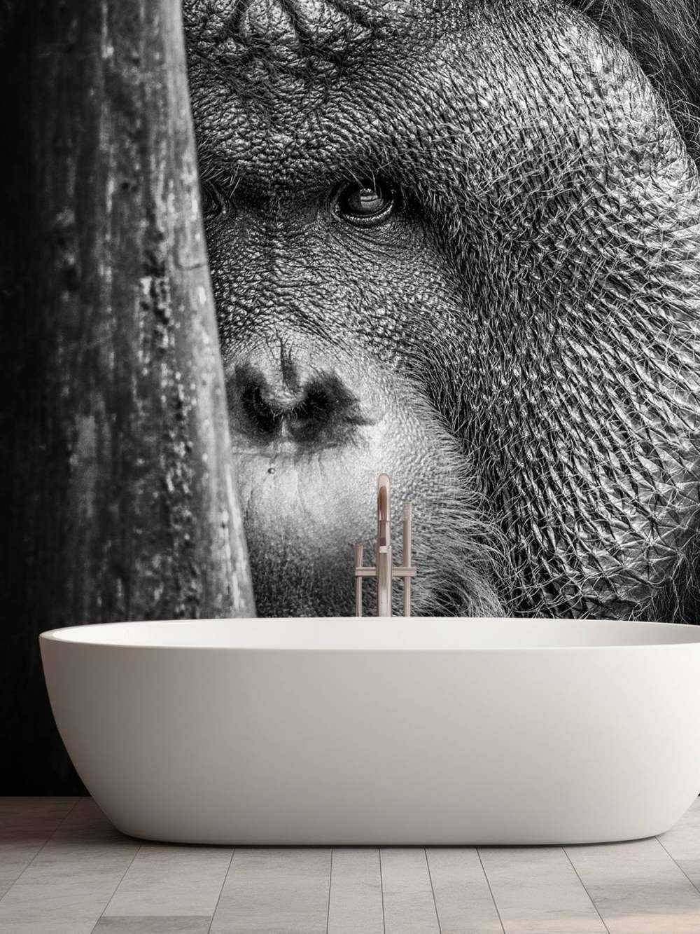 Orang-outan noir et blanc