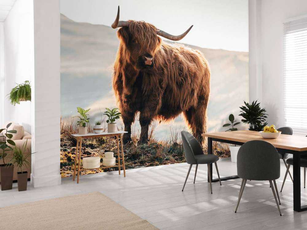 Un Highland écossais sur une colline