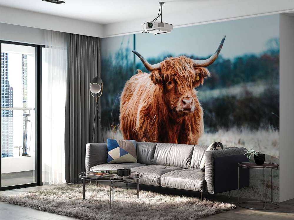 Un Highland écossais dans la forêt