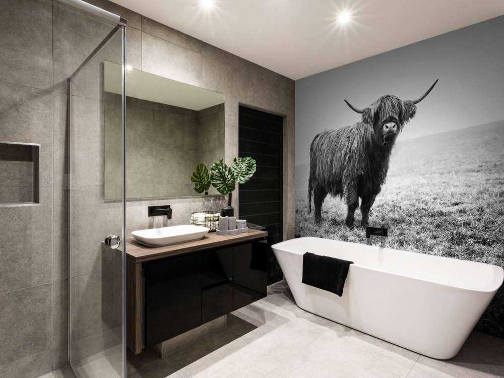 Le Highland écossais dans l'herbe