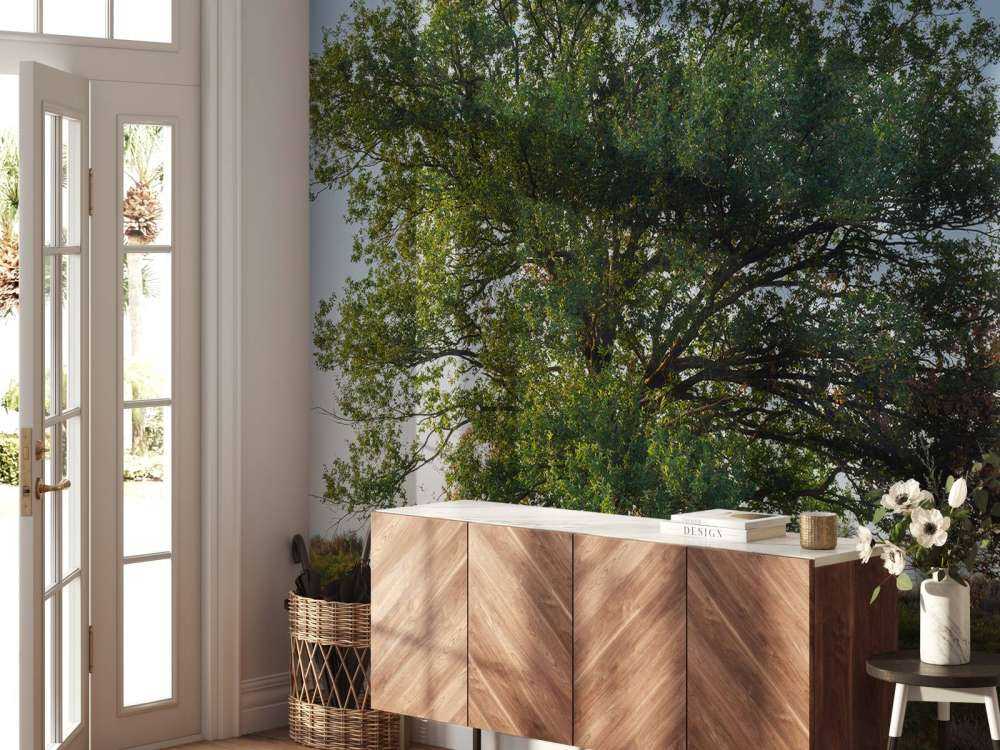 Arbre solitaire sur la lande