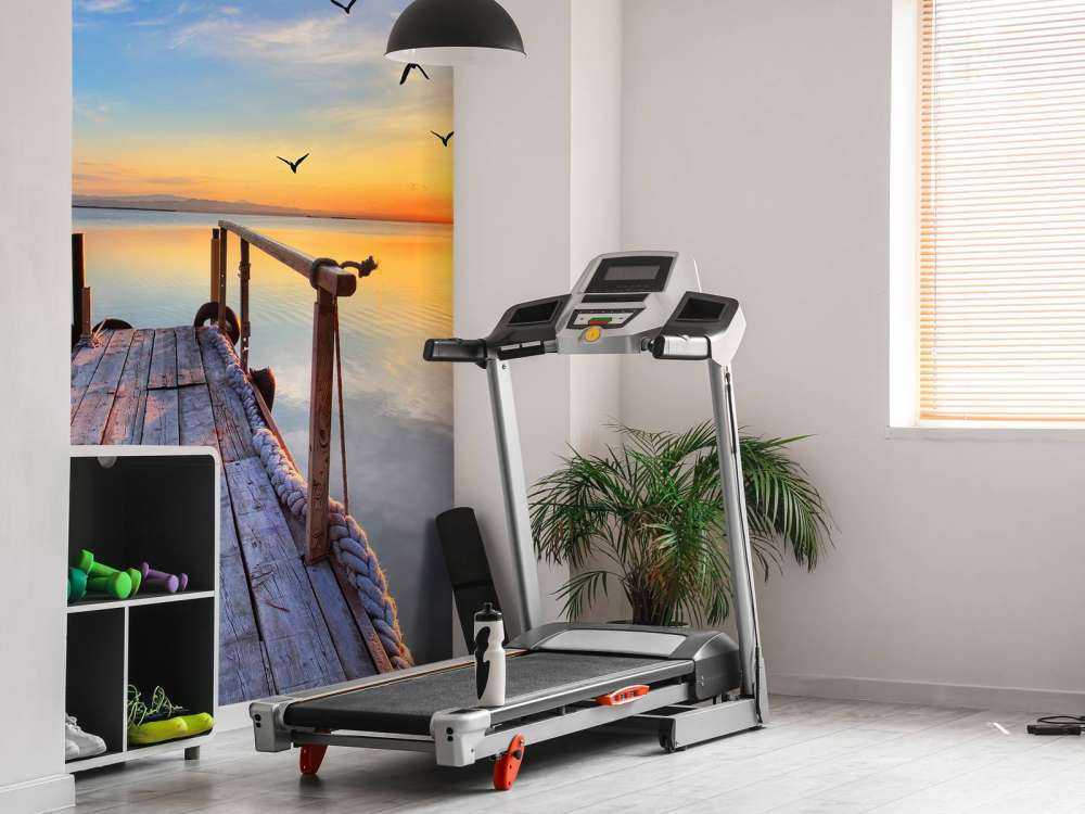 Oiseaux au-dessus de la mer