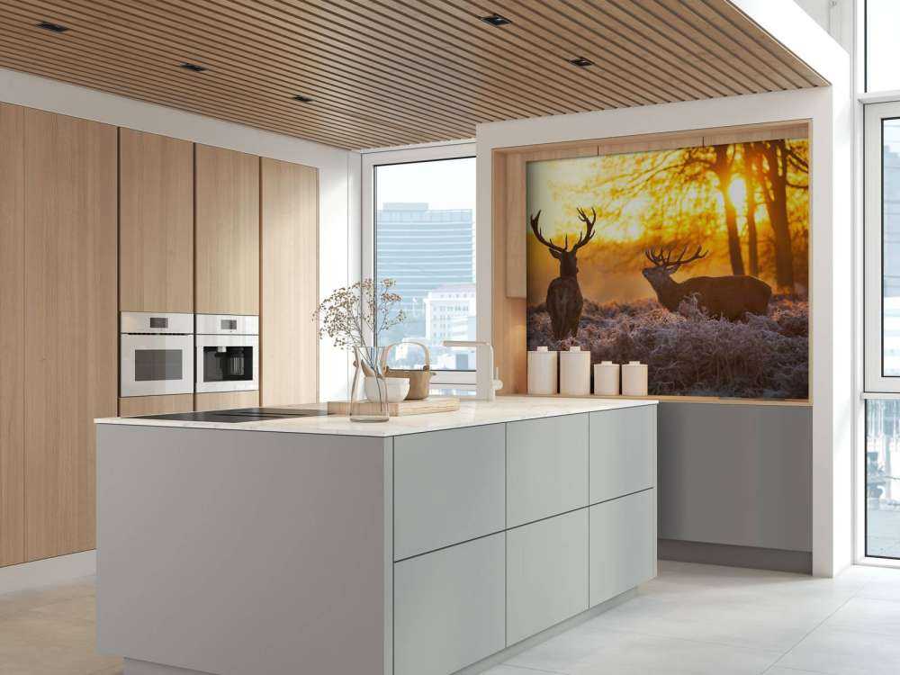 Cerfs au coucher du soleil