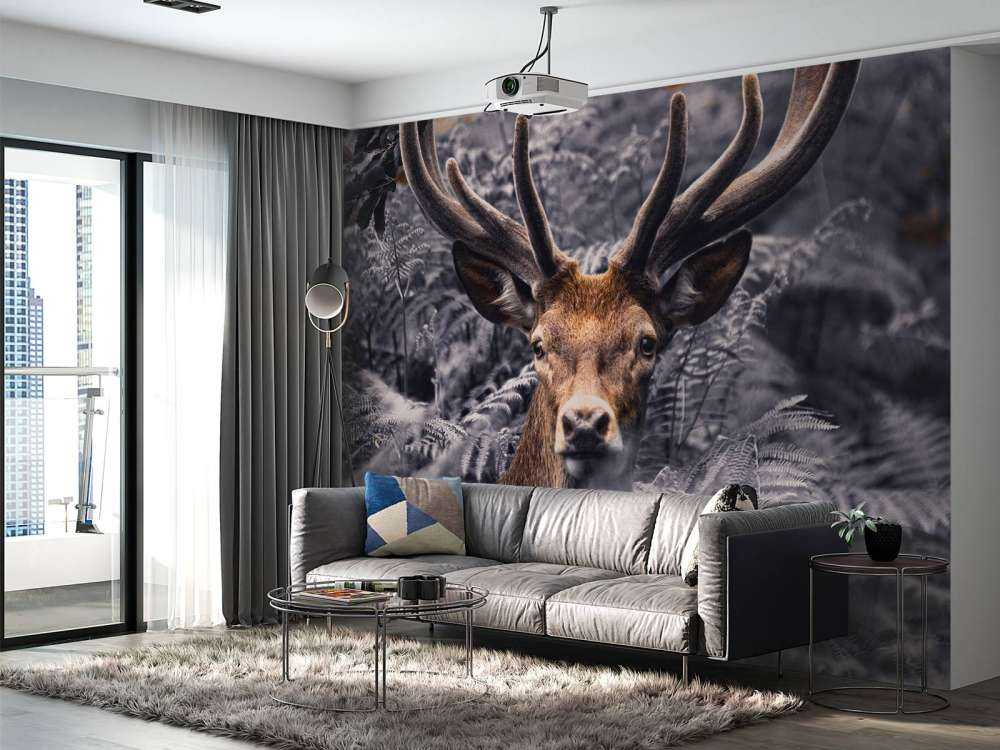 Gros plan sur un cerf