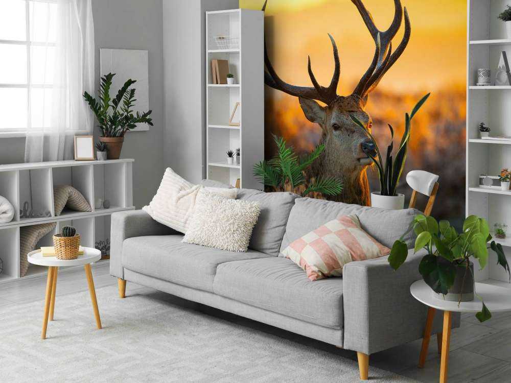 Cerf dans une réserve naturelle