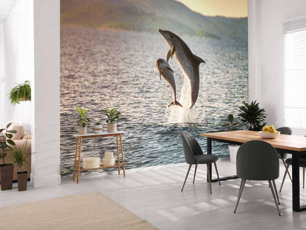 Deux dauphins qui sautent