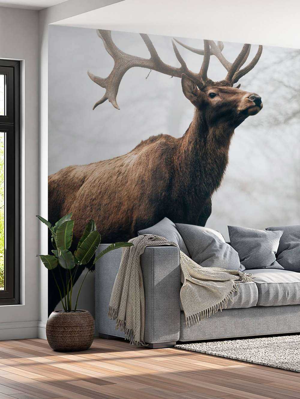 Des rennes dans le brouillard