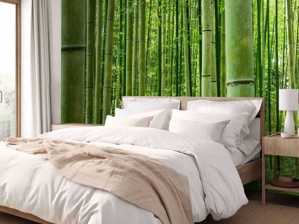 Au milieu de la forêt de bambous