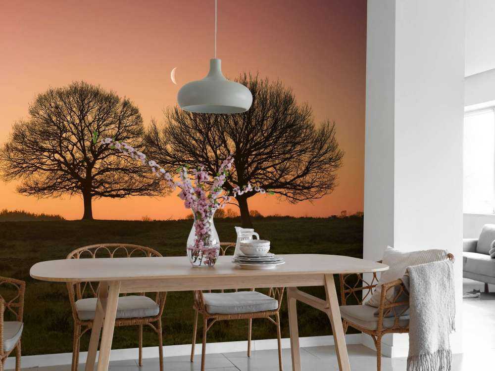 La lune entre les arbres