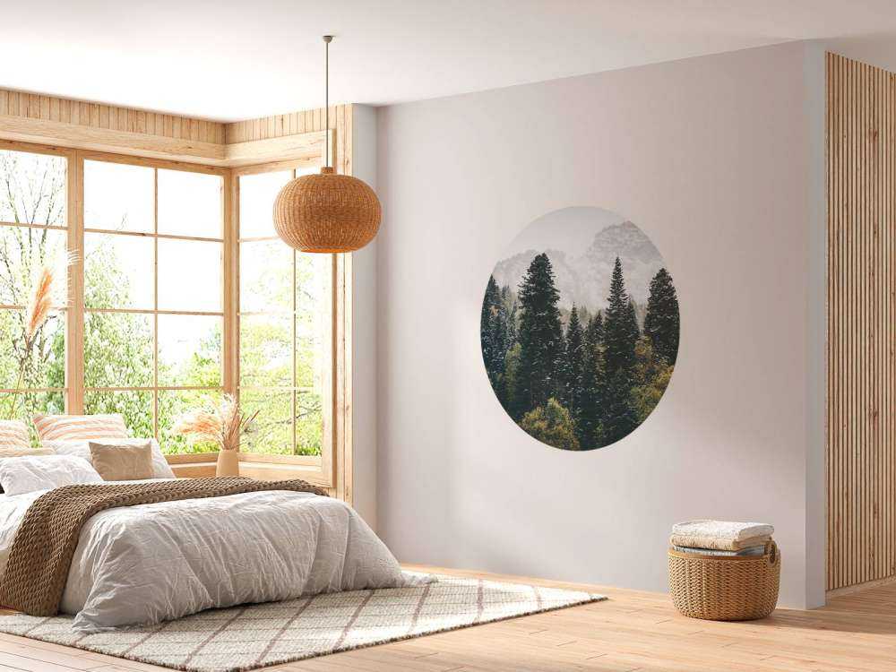 Forêt de conifères