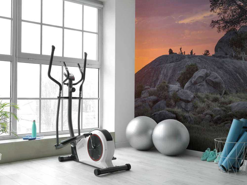 Coucher de soleil sur la savane