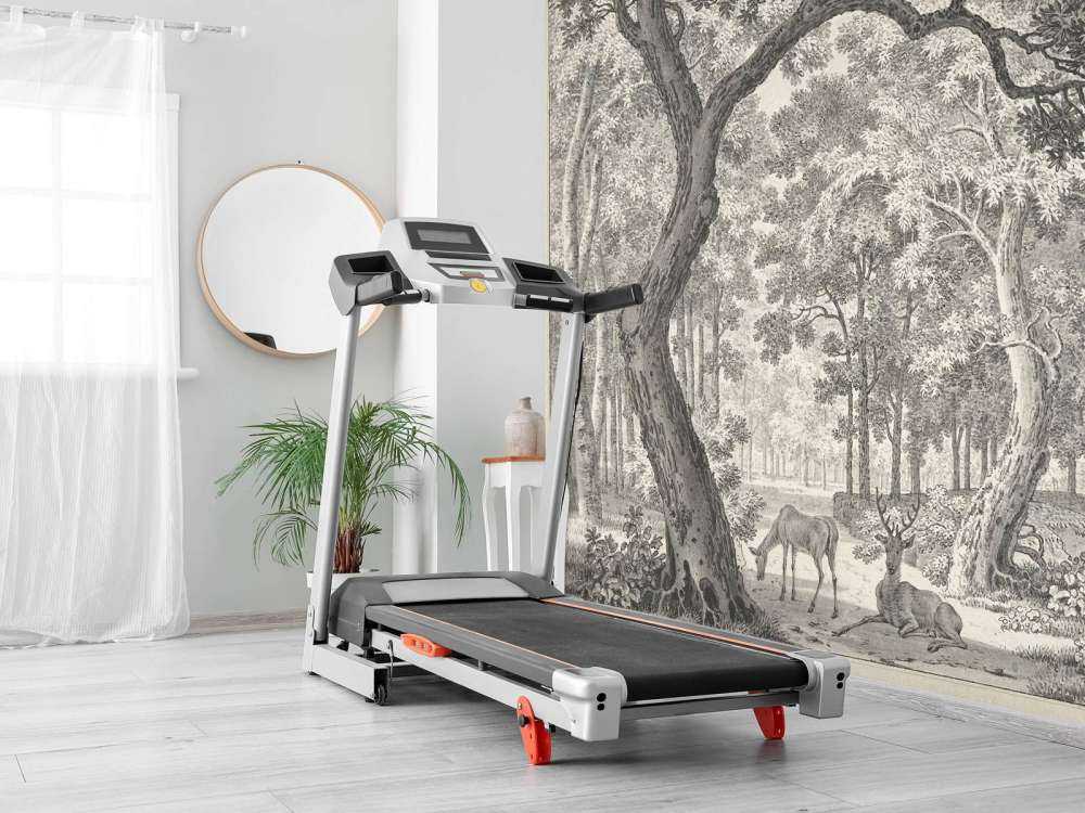 Vue sur la forêt avec deux cerfs