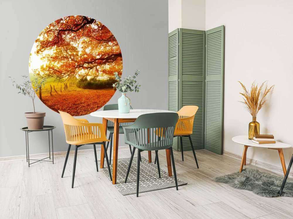 Paysage d'automne avec forêt et prairie