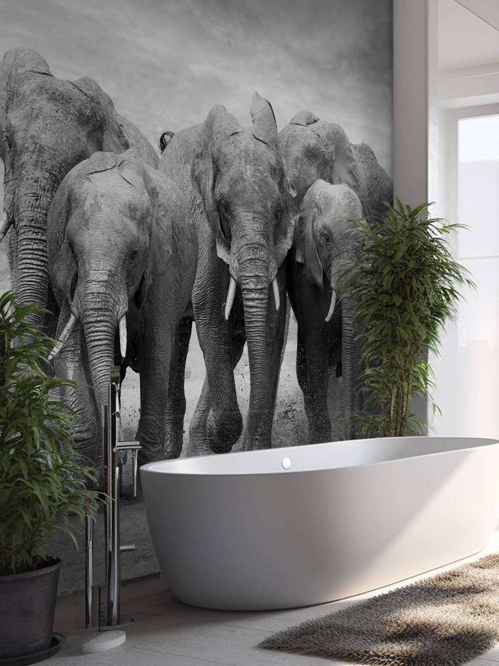 Troupeau d'éléphants