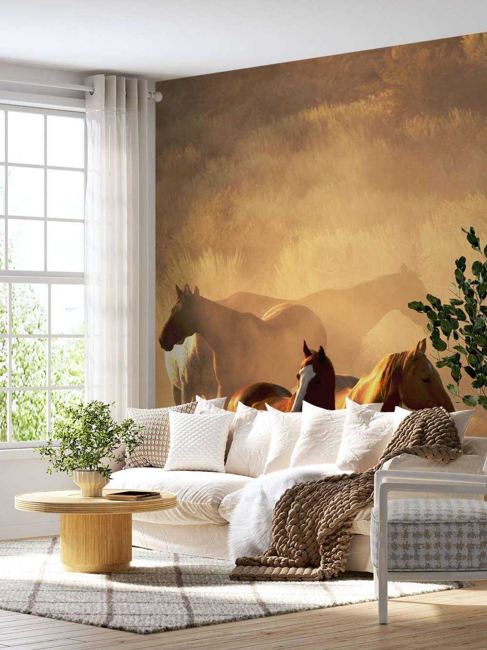 Chevaux au coucher du soleil