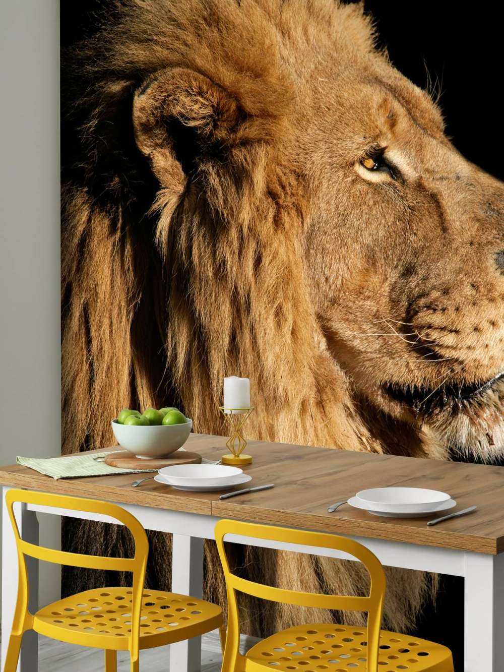 Profil latéral d'un lion